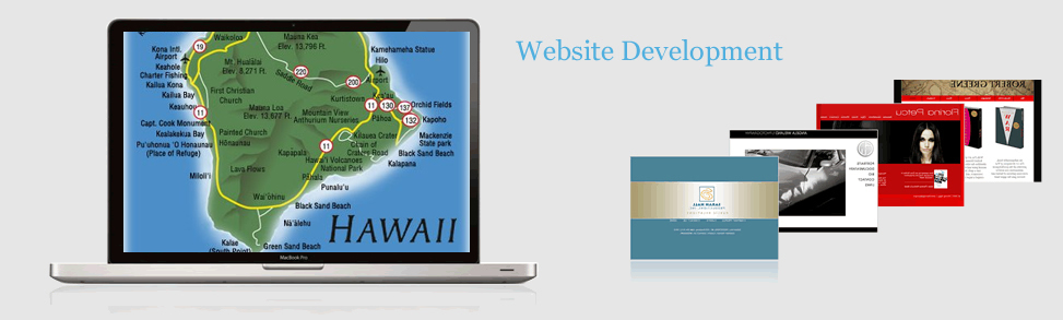 Website Development